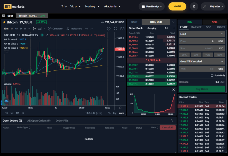 BITMARKETS Recenze & Zkušenosti - Proč se (ne)vyplatí?