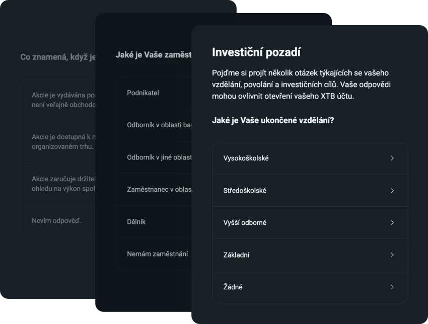 Investiční dotazník